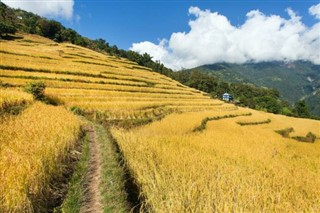 नेपाल