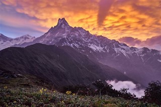 Nepal