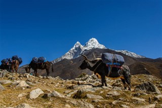 Νεπάλ