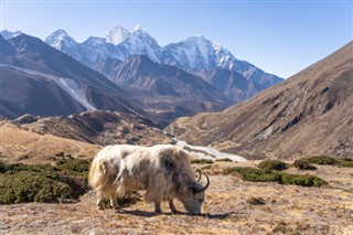 Nepal