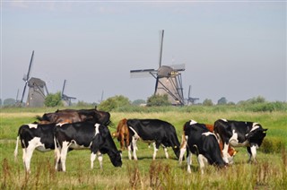 Hollanda