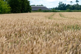 Niederlande