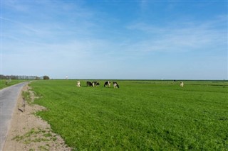 Hollanda