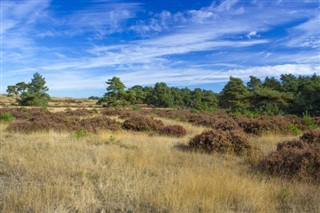 Belanda