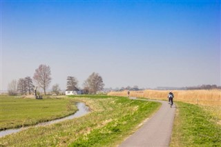 Nyderlandai