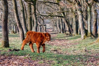 Niederlande