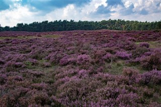 Niederlande