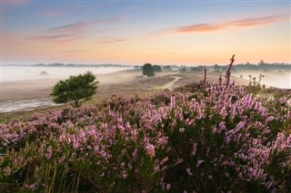 Niederlande