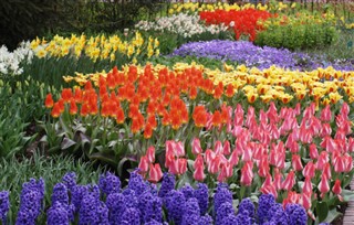 Holland