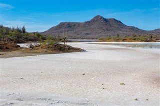 Hollensku