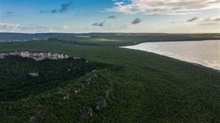 Nizozemské