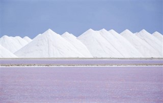 Холандски