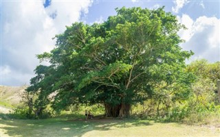 Nieuw-Caledonië