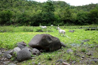 尼加拉瓜