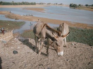 नाइजर