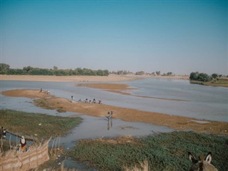 niger