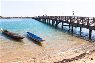 尼日尔