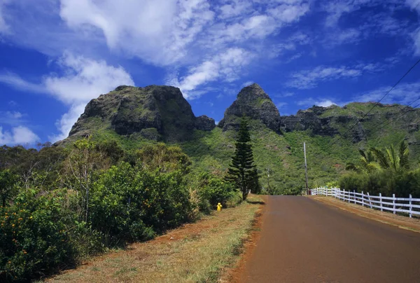 諾福克島