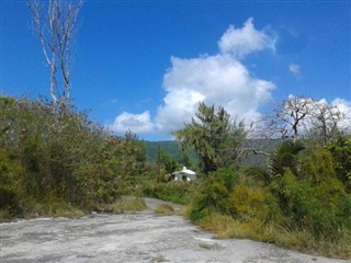 Severní