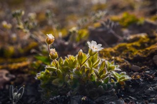 Noorwegen