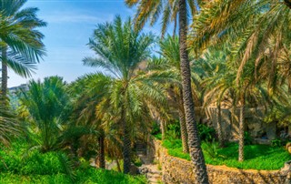 Omán