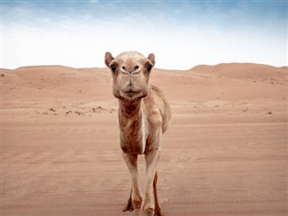 Oman