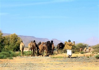 عمان