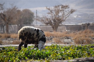 Pakistāna