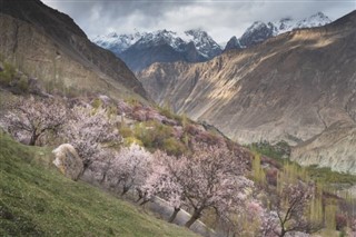 باكستان