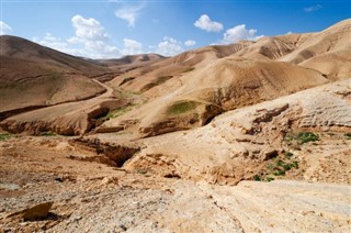 巴勒斯坦领土