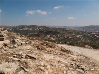 巴勒斯坦領土