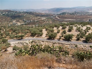 巴勒斯坦领土