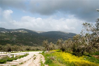 巴勒斯坦领土