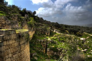 فلسطینی