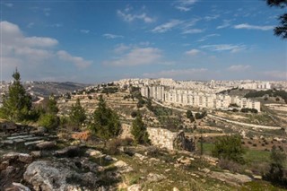 巴勒斯坦领土