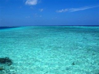パルミラ環礁