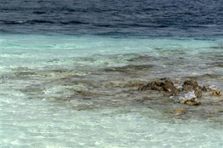 巴尔米拉环礁