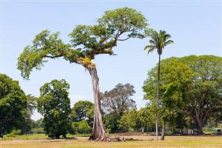 Panamá