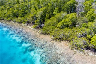 Papua