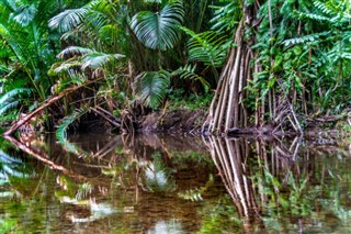 Papua-Uusi-Guinea