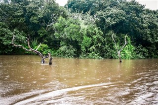 প্যারাগুয়ে