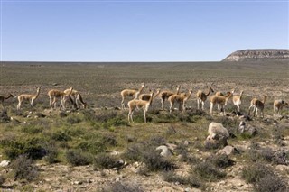 Perú