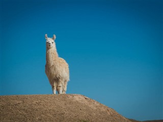 Peru