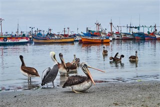 Peru