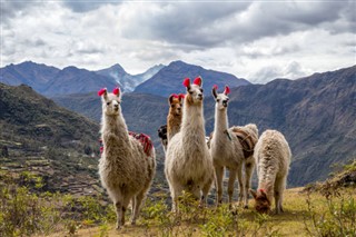 Perú