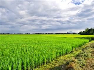 Філіппіни