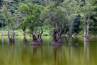 ফিলিপাইন