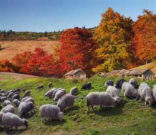 Polônia