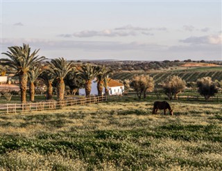 Portugália