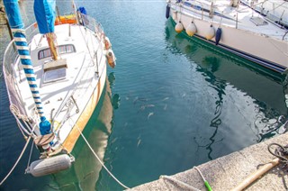 Πουέρτο